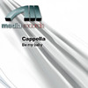 Be My Baby, Cappella