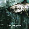 New Ceremony, Dry the River