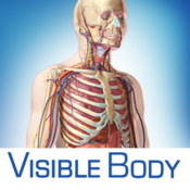 visible-body-3d-human-anatomy