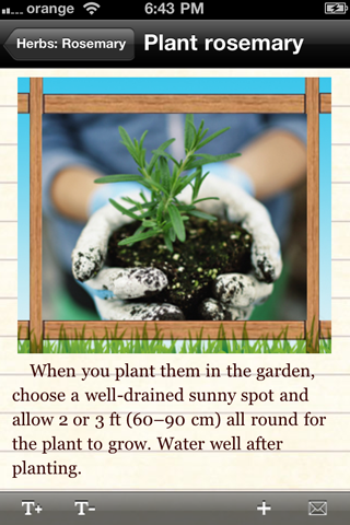 Grow Your Own Greens