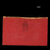 Amnesiac