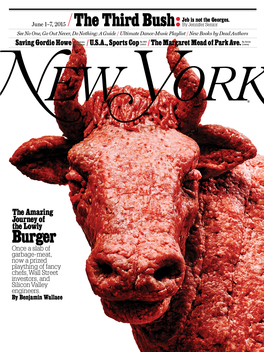 New York Magazine LOGO-APP點子