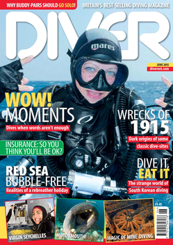 DIVER MAGAZINE LOGO-APP點子