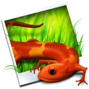 Image2icon