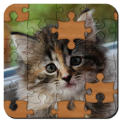 Jigsaw Puzzles