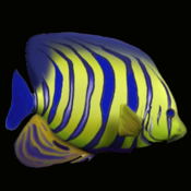 AquaMunch