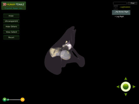 3D Medical Leg Skeleton HD screenshot 2