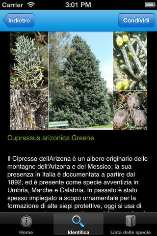 Caccia al Tesoro Botanico al Giardino Scotto di Pisa screenshot 2