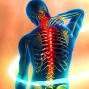Yoga for Back Pain Relief