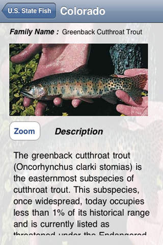 U.S. State Fish screenshot 2