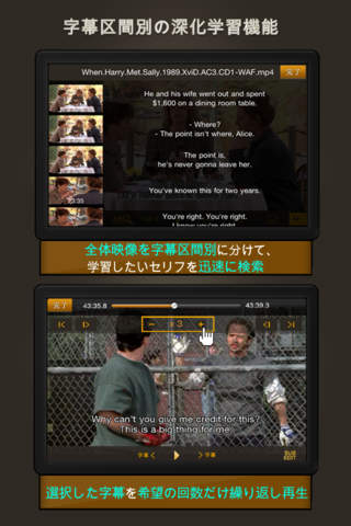 VideoLinguaLab screenshot 4