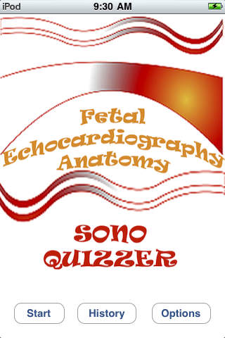Sono Quiz Fetal Echocardiography Anatomy