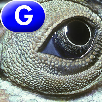 Animal Eyes - LAZ Reader [Level G–first grade] LOGO-APP點子