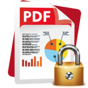 PDF Security