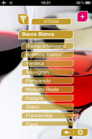 Le Strade del Vino - Puglia screenshot 4