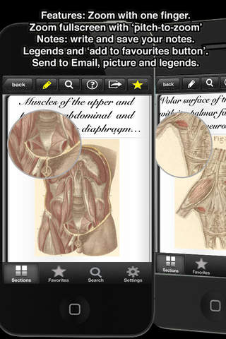 Atlas of Anatomy (Human) screenshot 3
