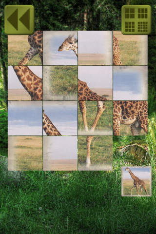Slidy Puzzle: Animals - sliding puzzle for kids screenshot 4