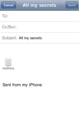 iPhone Screenshot 5