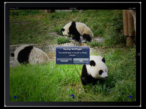 免費下載攝影APP|Panda Wallpapers HD app開箱文|APP開箱王