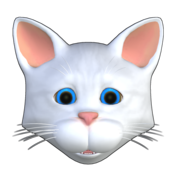 SlotTales CrazyKitten