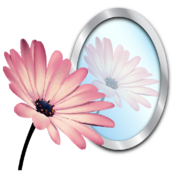PhotoReflector