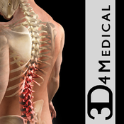 Orthopedic Patient Education