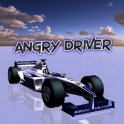 Angry Driver