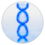 GeneticsLab