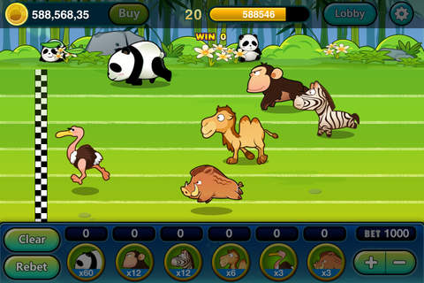 Animals Run-casino horse racing betting screenshot 3