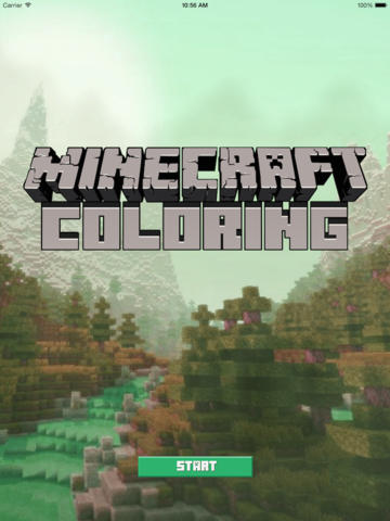 Coloring with Minecraft  Screenshot