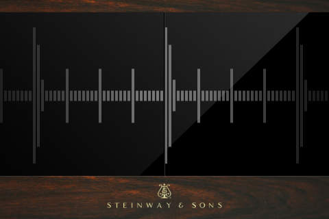 Steinway Metronome screenshot 2