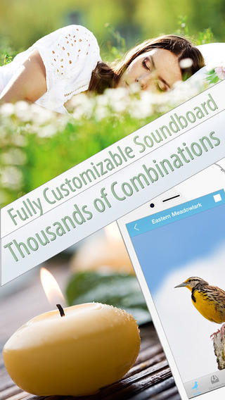 【免費健康App】Singing & Chirping Birds to Reduce Anxiety & Stress, Relaxation, Power Nap, Physiotherapy & Yoga, Insomnia Relief and Meditation-APP點子