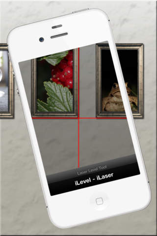 iPhone Screenshot 2