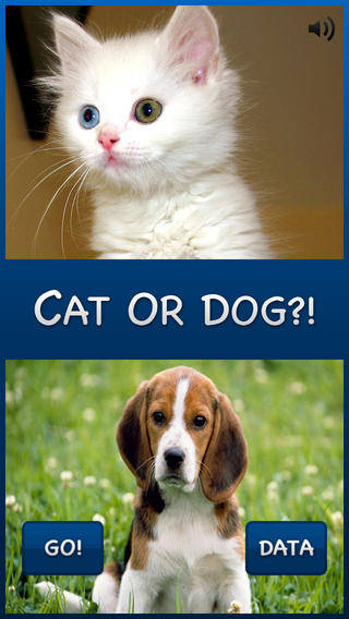 Cat or Dog
