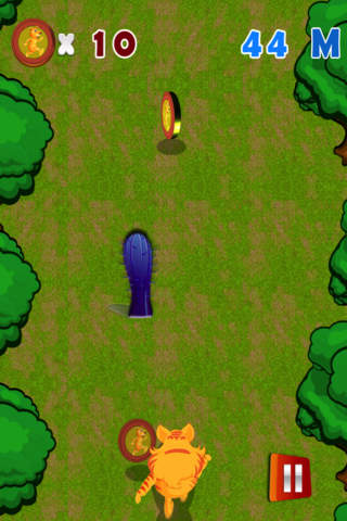 Animal Baby Tiger Running Game Pro screenshot 2