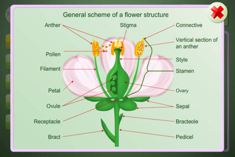 Biology Plant handbook screenshot 3