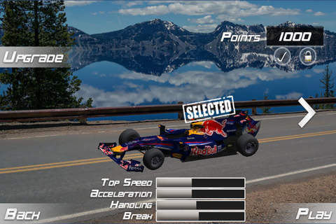 Real Champion Race screenshot 3