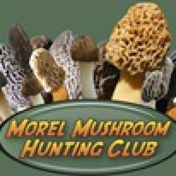 Morel Mushroom Club LOGO-APP點子