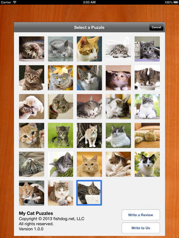 【免費遊戲App】My Cat Puzzles-APP點子