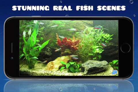 Aquarium HD : Fish Scenes screenshot 2