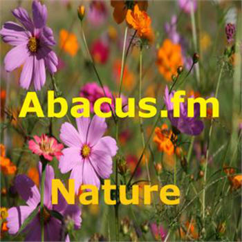 Abacus.fm - Nature LOGO-APP點子