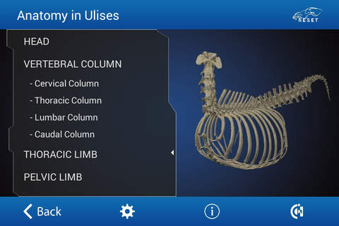 Osteology in Dogs screenshot 4