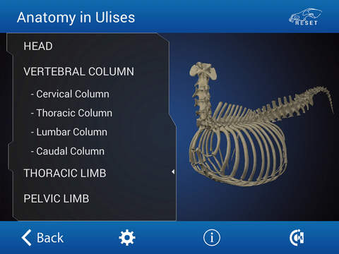 【免費醫療App】Osteology in Dogs-APP點子