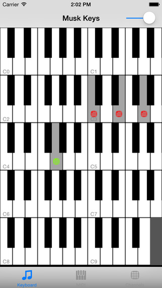 Musk MIDI Keyboard