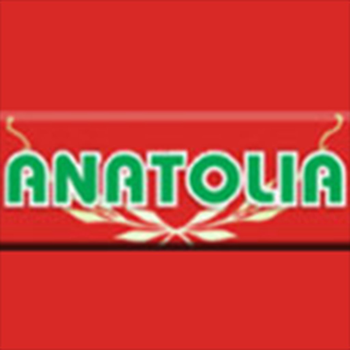 Anatolia Nijkerk LOGO-APP點子