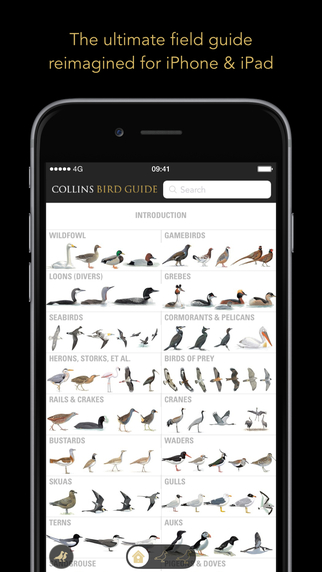 Collins Bird Guide – The Ultimate Field Guide for Britain Europe