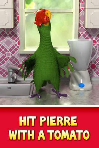 Talking Pierre the Parrot screenshot 4
