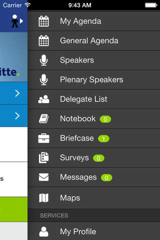 Deloitte EMEA GES 2015 screenshot 3