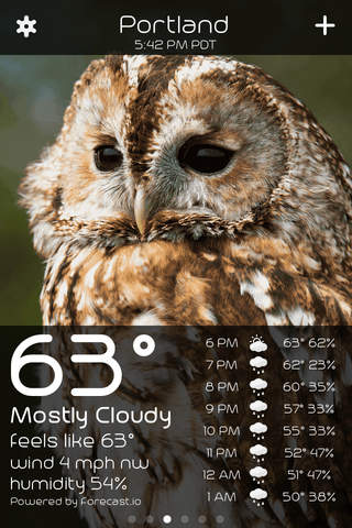 Owl Weather screenshot 2