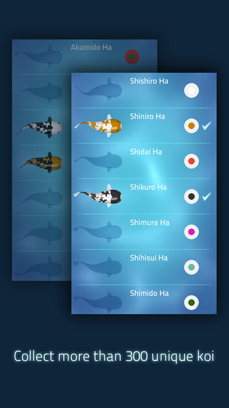 免費下載遊戲APP|Zen Koi - A Tranquil Aquatic Journey app開箱文|APP開箱王